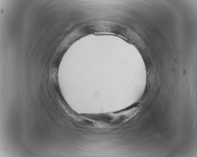 X0000085270141200704092149