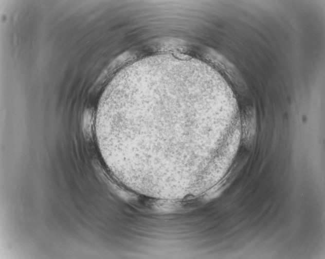 X0000085270142200704092149