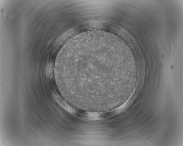 X0000085270144200704092149