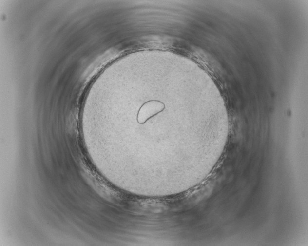 X0000085270146200704092149