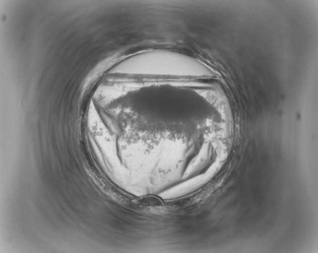 X0000085270149200704092149