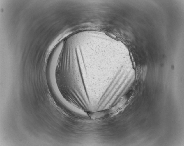 X0000085270150200704092149