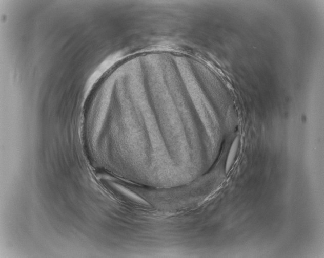 X0000085270152200704092149