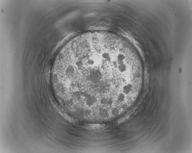 X0000085270153200704092149