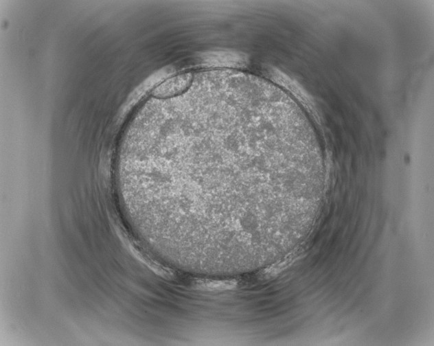 X0000085270155200704092149