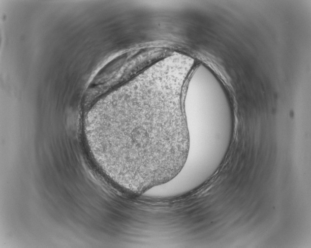 X0000085270156200704092149