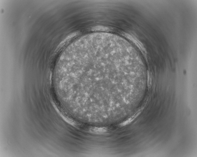 X0000085270157200704092149