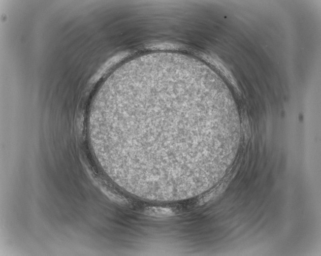 X0000085270159200704092149