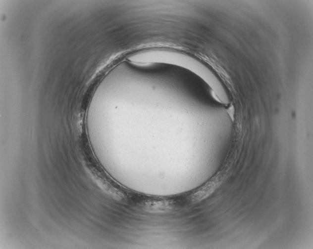 X0000085270160200704092149