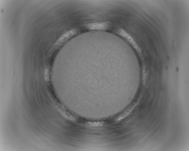 X0000085270161200704092149