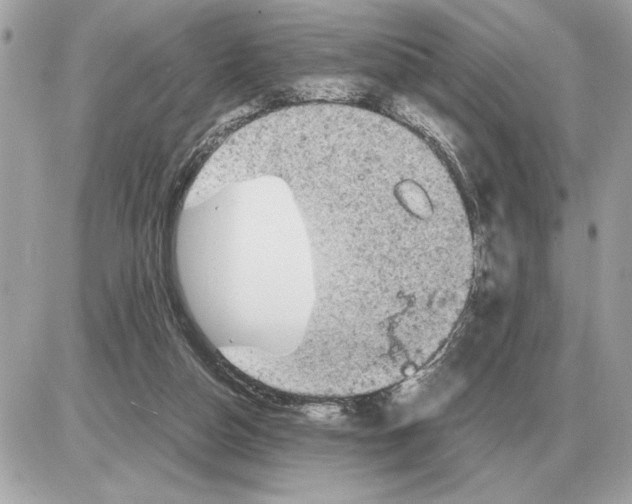 X0000085270162200704092149