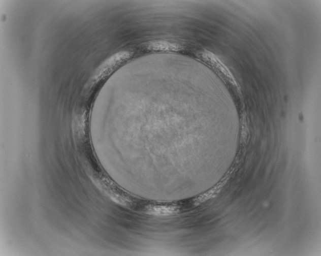 X0000085270163200704092149