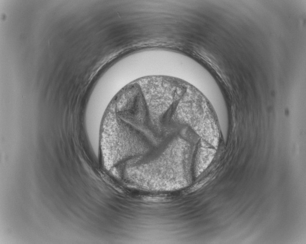 X0000085270164200704092149