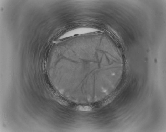 X0000085270169200704092149