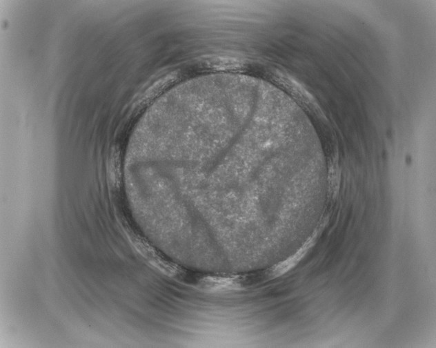 X0000085270170200704092149