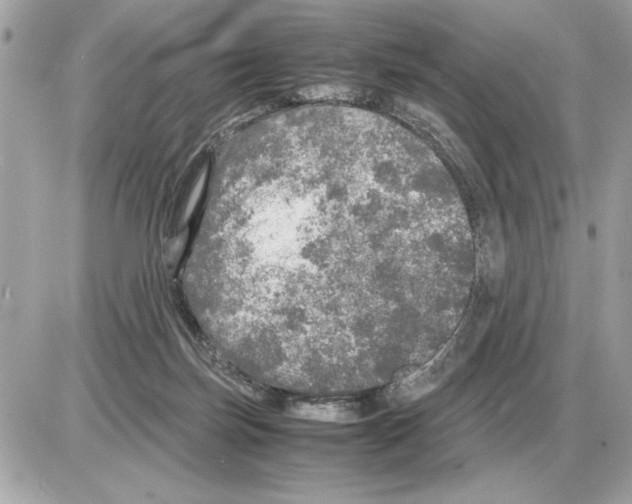 X0000085270171200704092149