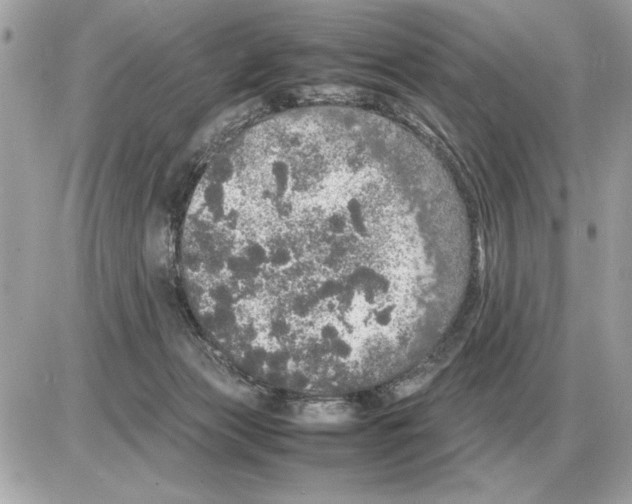 X0000085270173200704092149