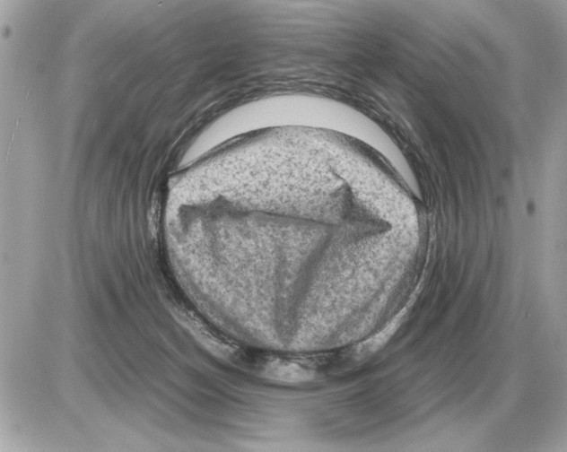 X0000085270174200704092149