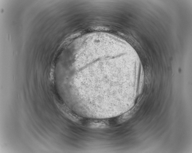 X0000085270175200704092149