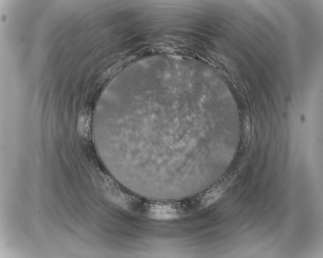 X0000085270177200704092149