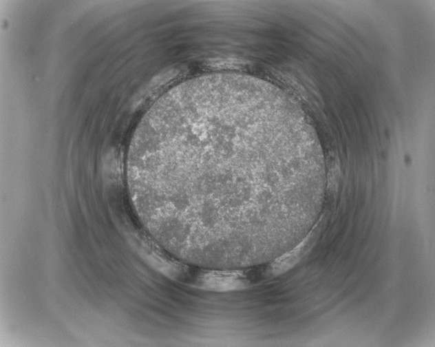 X0000085270179200704092149