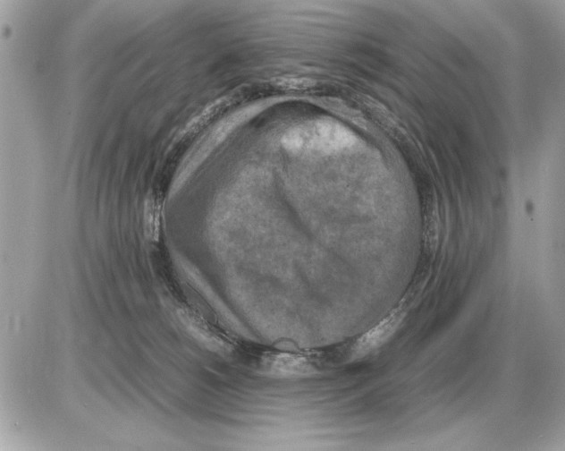 X0000085270180200704092149