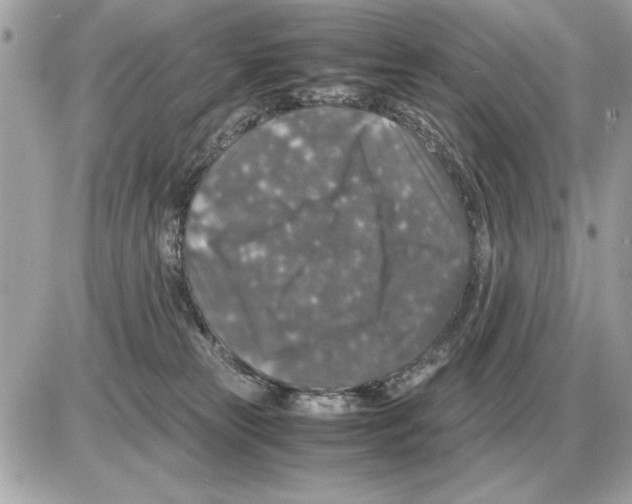 X0000085270181200704092149