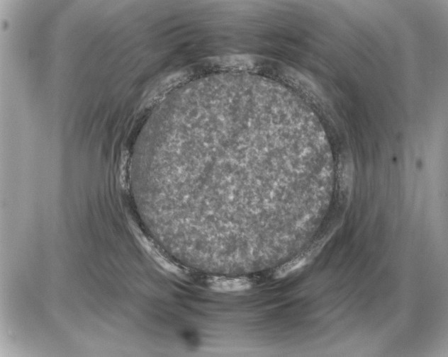 X0000085270185200704092149