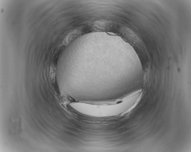 X0000085270186200704092149