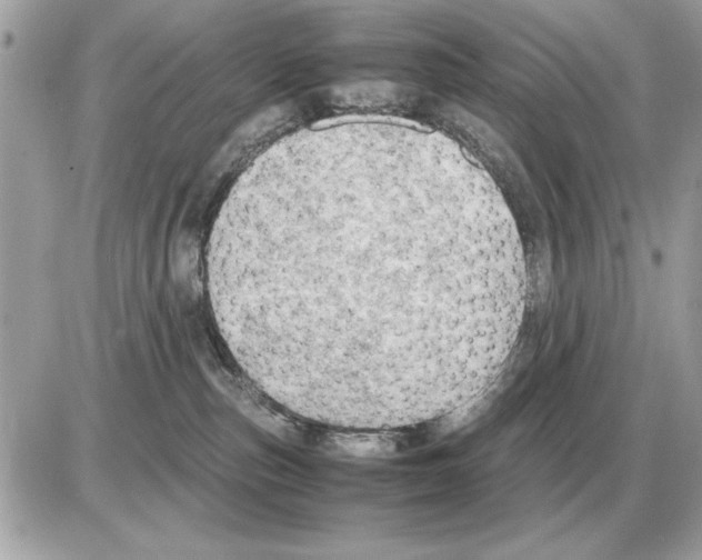 X0000085270187200704092149