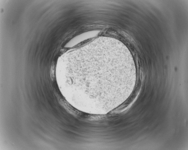 X0000085270190200704092149