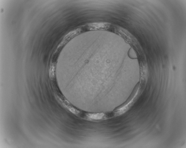 X0000085270191200704092149