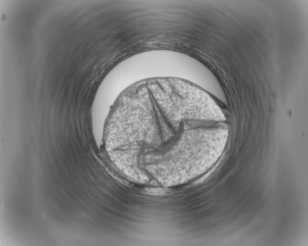 X0000085270192200704092149