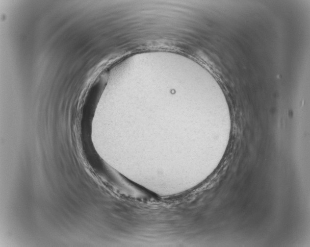 X0000085270193200704092149