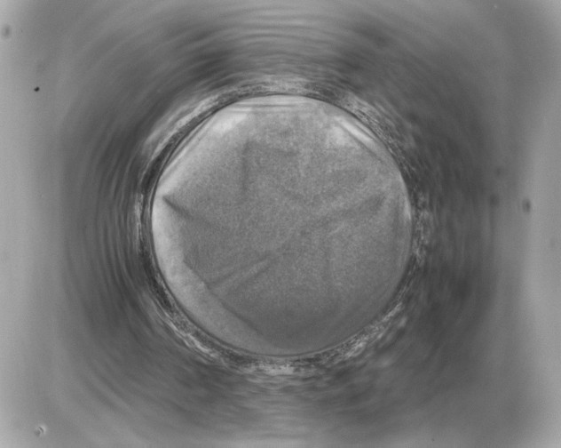 X0000085270194200704092149