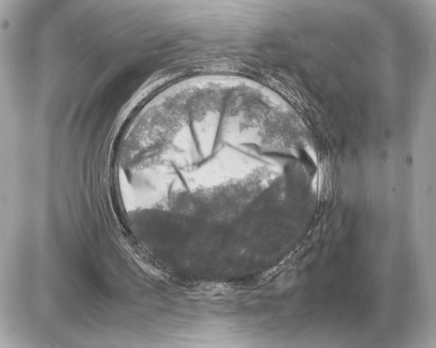 X0000085270195200704092149