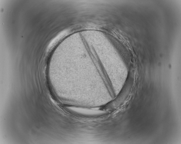 X0000085270197200704092148