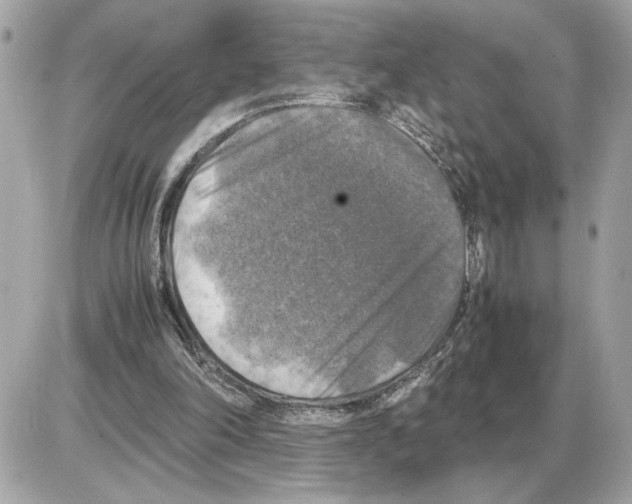 X0000085270198200704092148