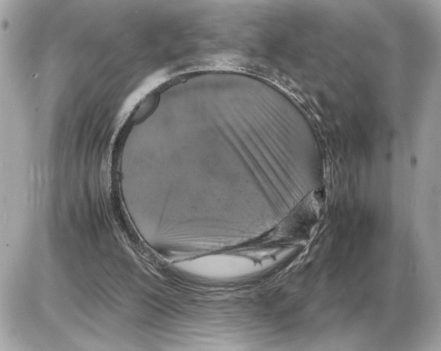 X0000085270200200704092148