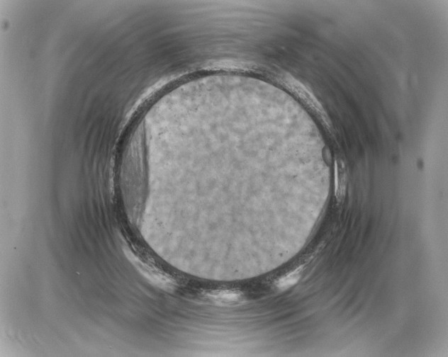 X0000085270204200704092148