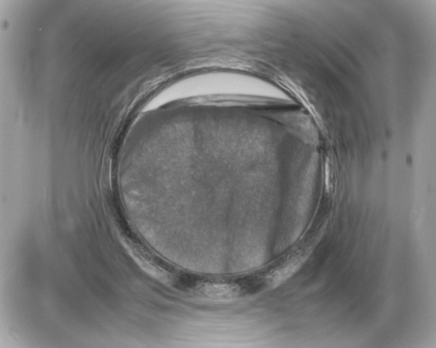 X0000085270205200704092148