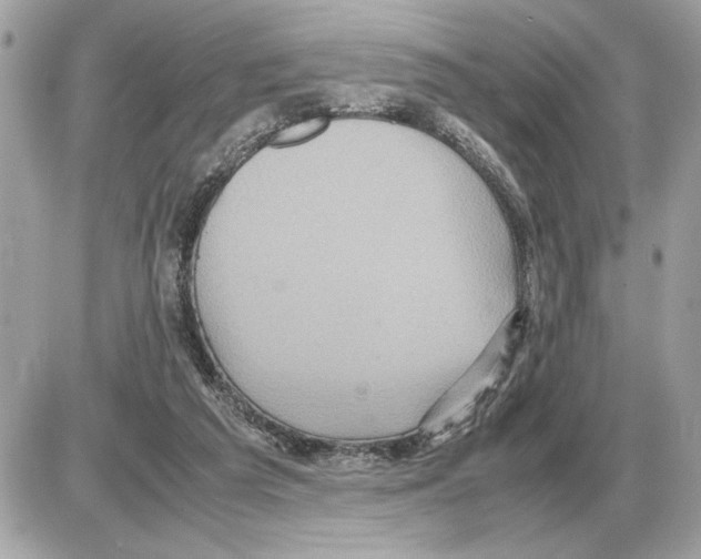 X0000085270209200704092148