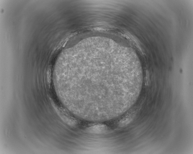 X0000085270210200704092148