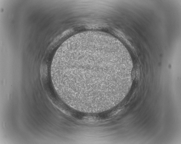 X0000085270211200704092148