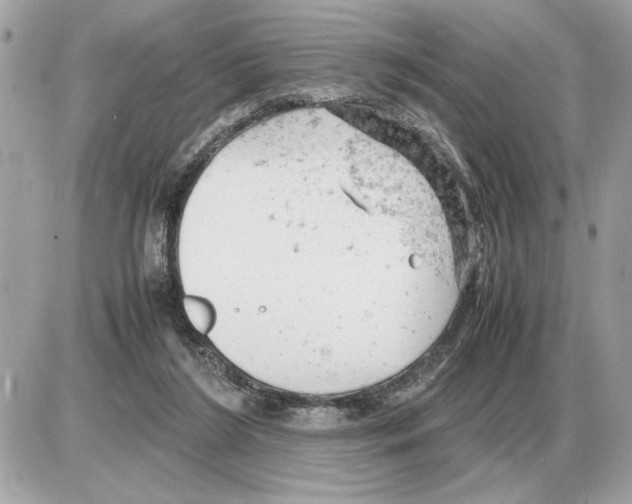 X0000085270212200704092148