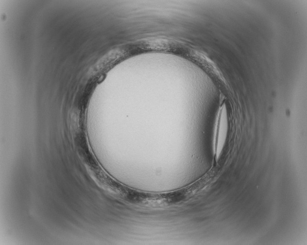 X0000085270213200704092148