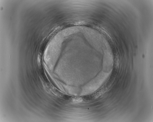 X0000085270214200704092148