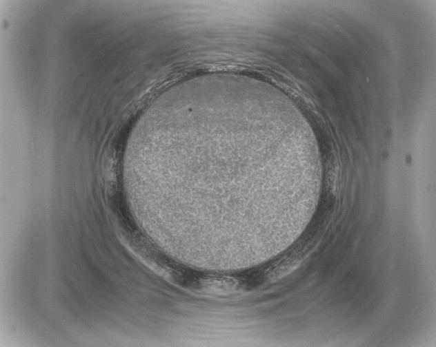 X0000085270215200704092148