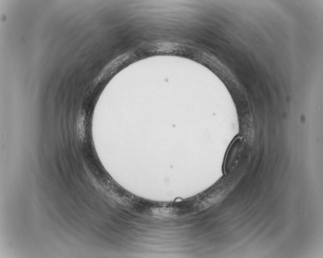 X0000085270216200704092148