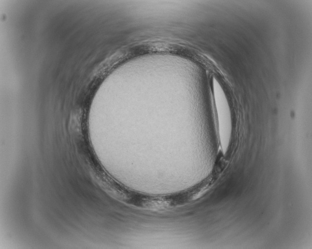 X0000085270217200704092148